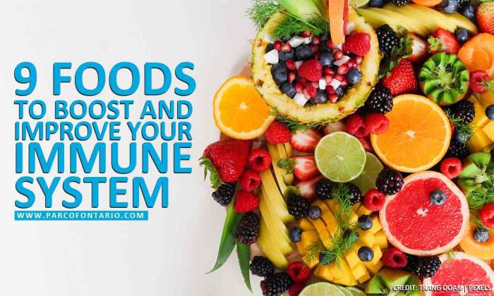 Role of proper nutrition in boosting immune system