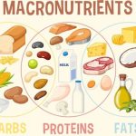 How to balance macronutrients in your daily diet