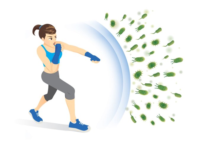 How regular exercise boosts immune system function